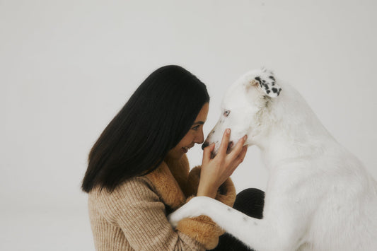 How Long Do Dogs Live? A Vet-Backed Guide to Increasing Your Dog’s Lifespan